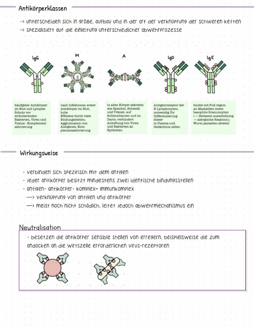 Bent und seine Bestandteile
Aufgaben des Blutes
-> Stofftransport (sauerstoff, CO2, nährstoffe, hormone....).
-> immunabwehr
-> regulation d