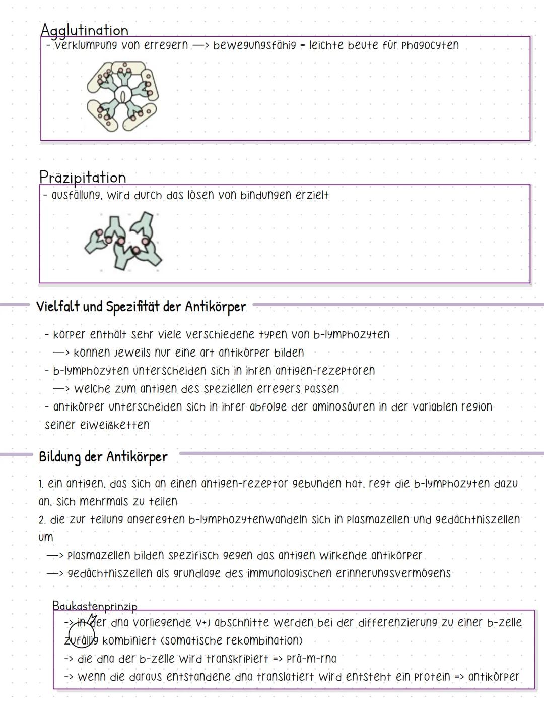 Bent und seine Bestandteile
Aufgaben des Blutes
-> Stofftransport (sauerstoff, CO2, nährstoffe, hormone....).
-> immunabwehr
-> regulation d