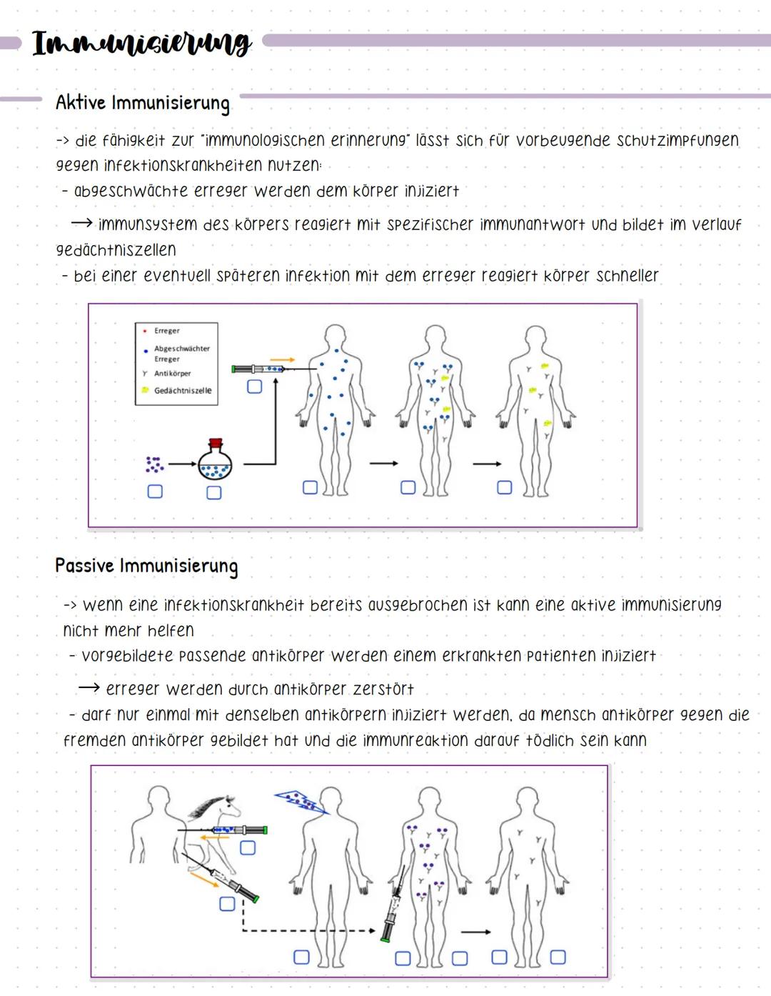 Bent und seine Bestandteile
Aufgaben des Blutes
-> Stofftransport (sauerstoff, CO2, nährstoffe, hormone....).
-> immunabwehr
-> regulation d