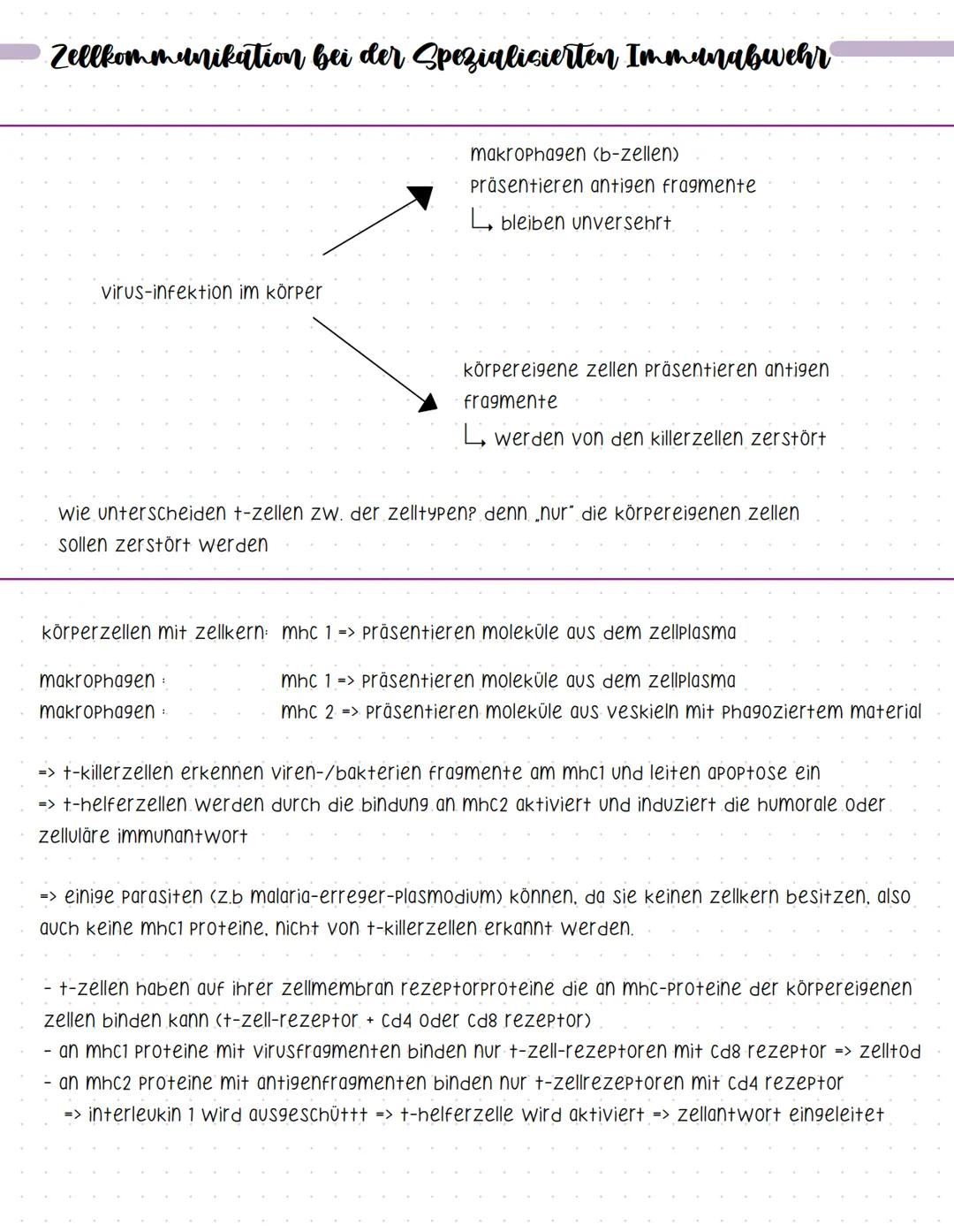 Bent und seine Bestandteile
Aufgaben des Blutes
-> Stofftransport (sauerstoff, CO2, nährstoffe, hormone....).
-> immunabwehr
-> regulation d