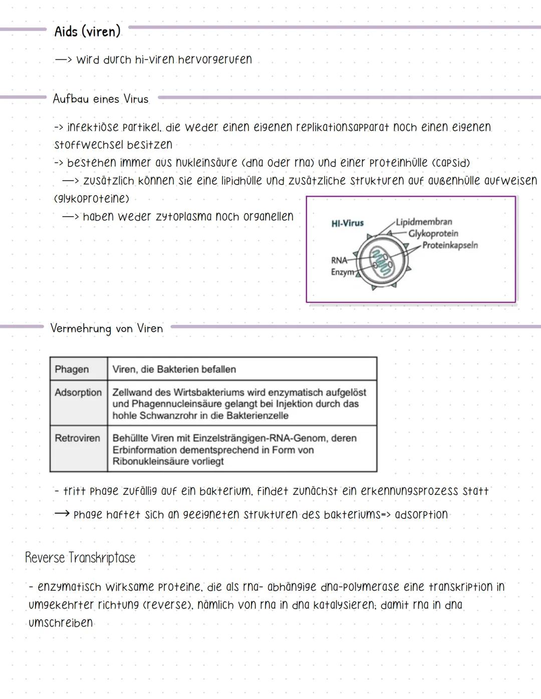 Bent und seine Bestandteile
Aufgaben des Blutes
-> Stofftransport (sauerstoff, CO2, nährstoffe, hormone....).
-> immunabwehr
-> regulation d