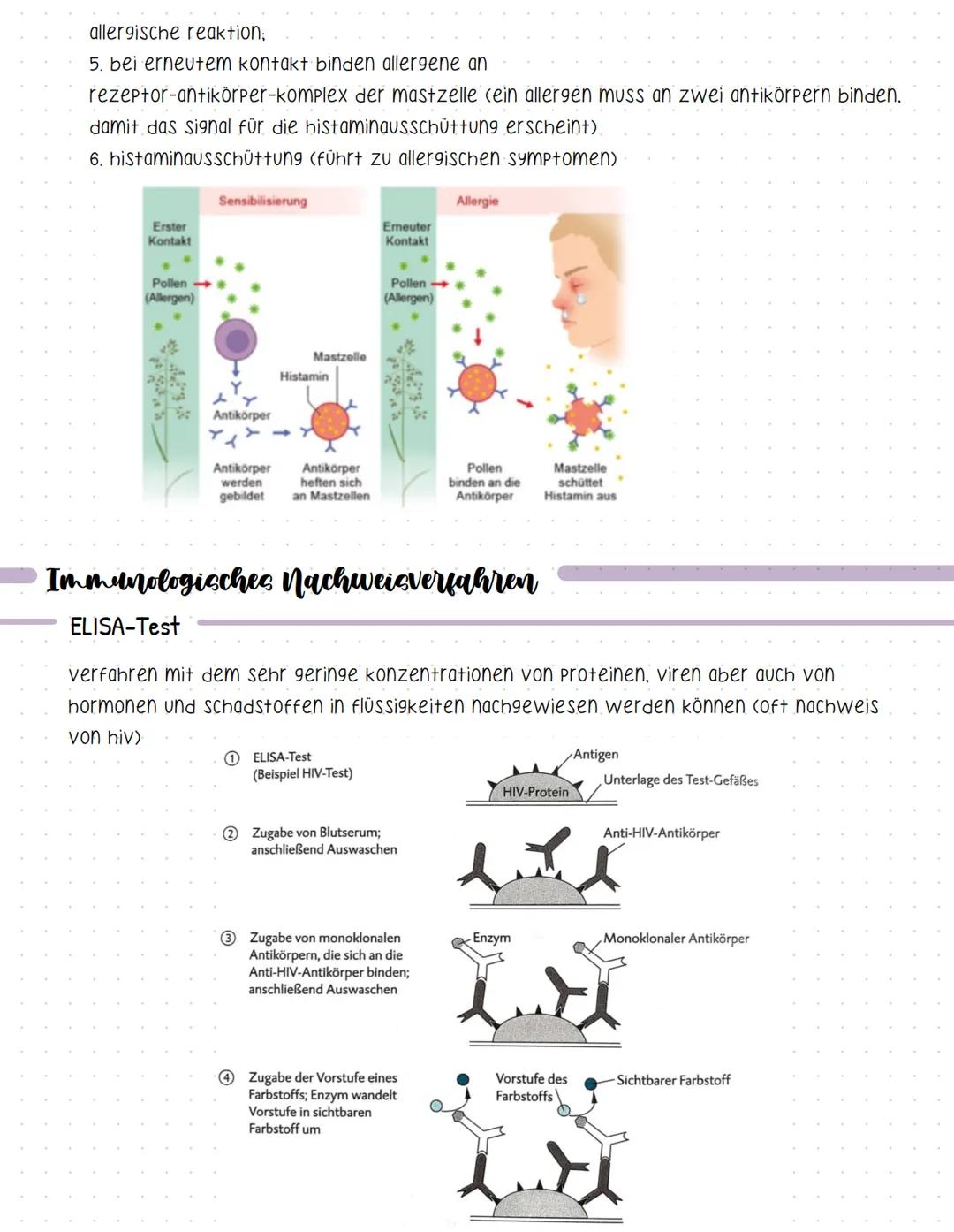 Bent und seine Bestandteile
Aufgaben des Blutes
-> Stofftransport (sauerstoff, CO2, nährstoffe, hormone....).
-> immunabwehr
-> regulation d