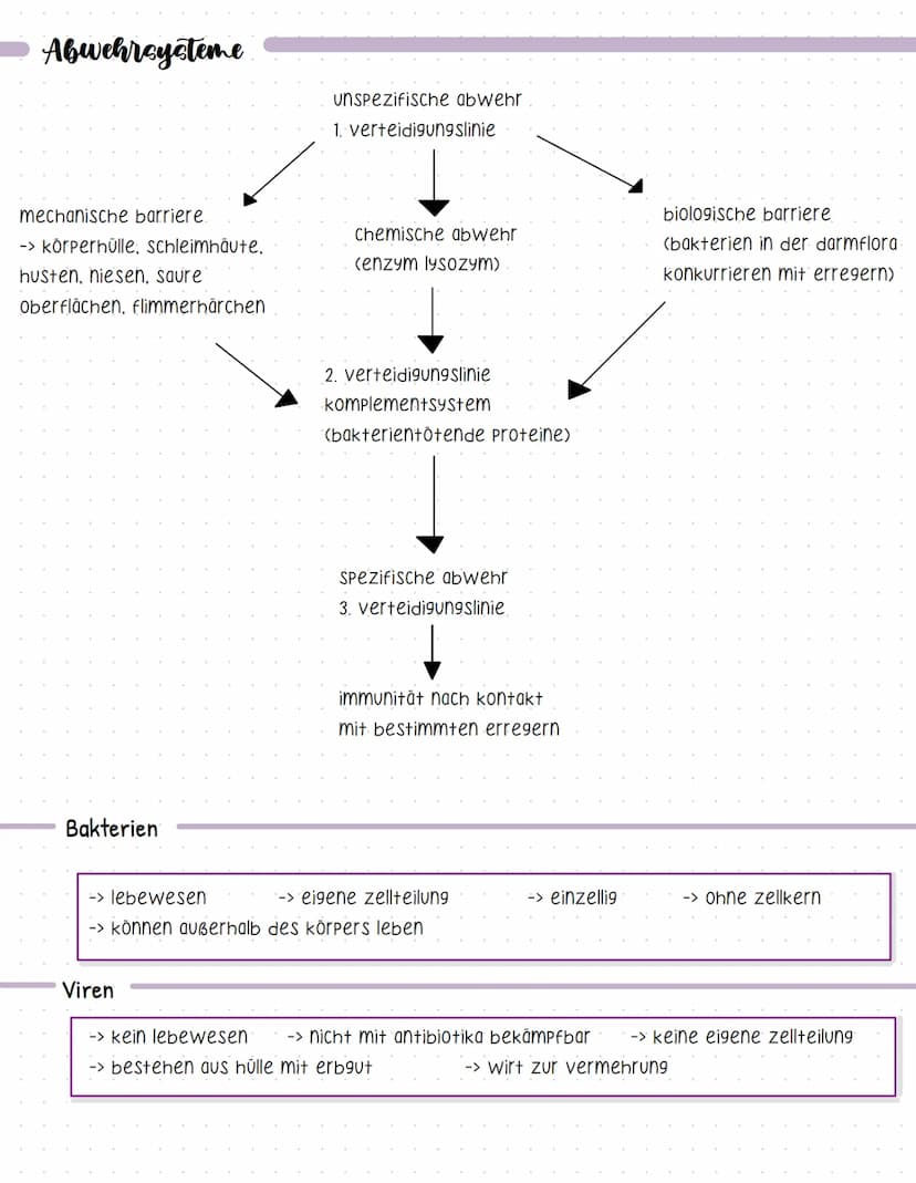 Bent und seine Bestandteile
Aufgaben des Blutes
-> Stofftransport (sauerstoff, CO2, nährstoffe, hormone....).
-> immunabwehr
-> regulation d