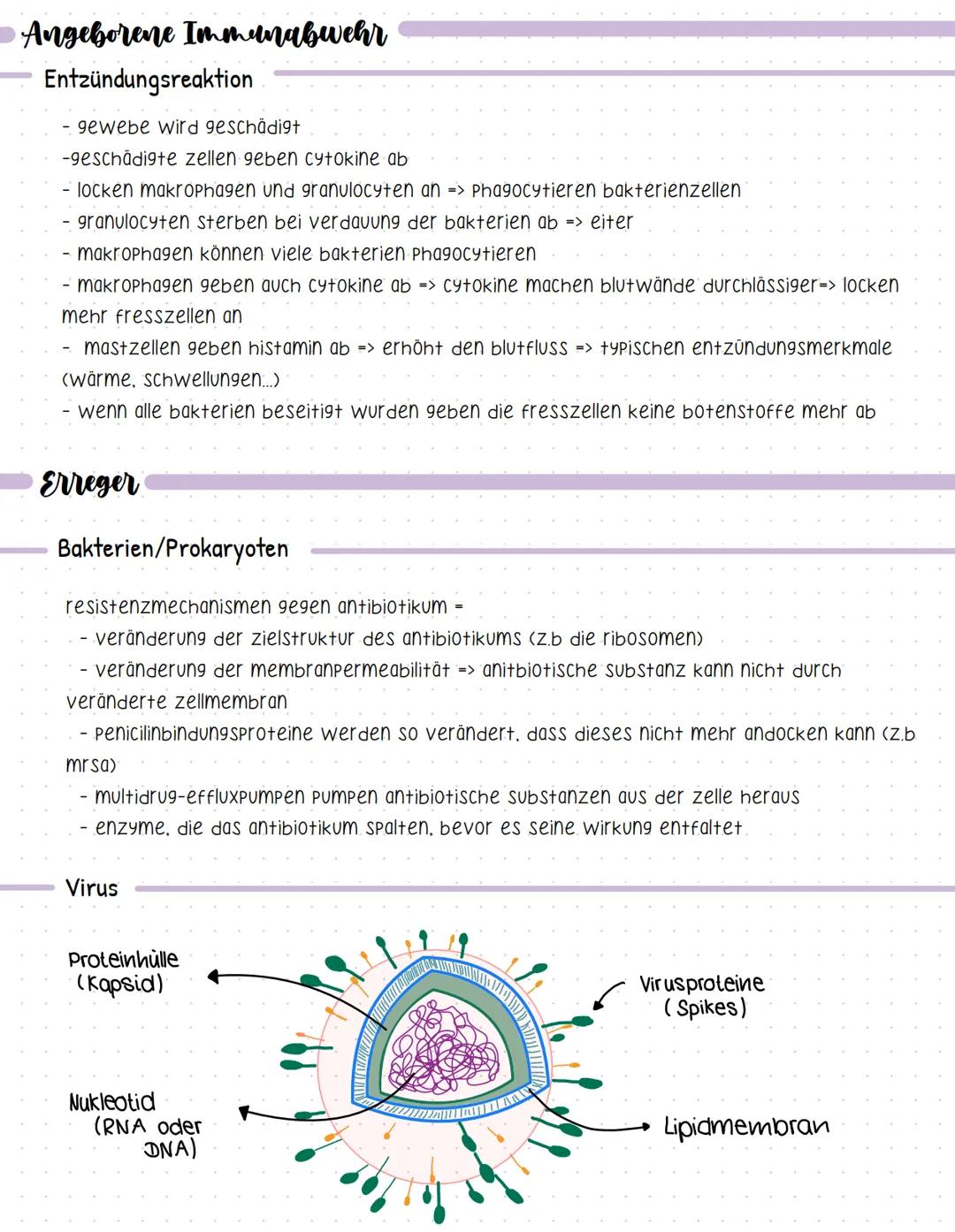 Bent und seine Bestandteile
Aufgaben des Blutes
-> Stofftransport (sauerstoff, CO2, nährstoffe, hormone....).
-> immunabwehr
-> regulation d