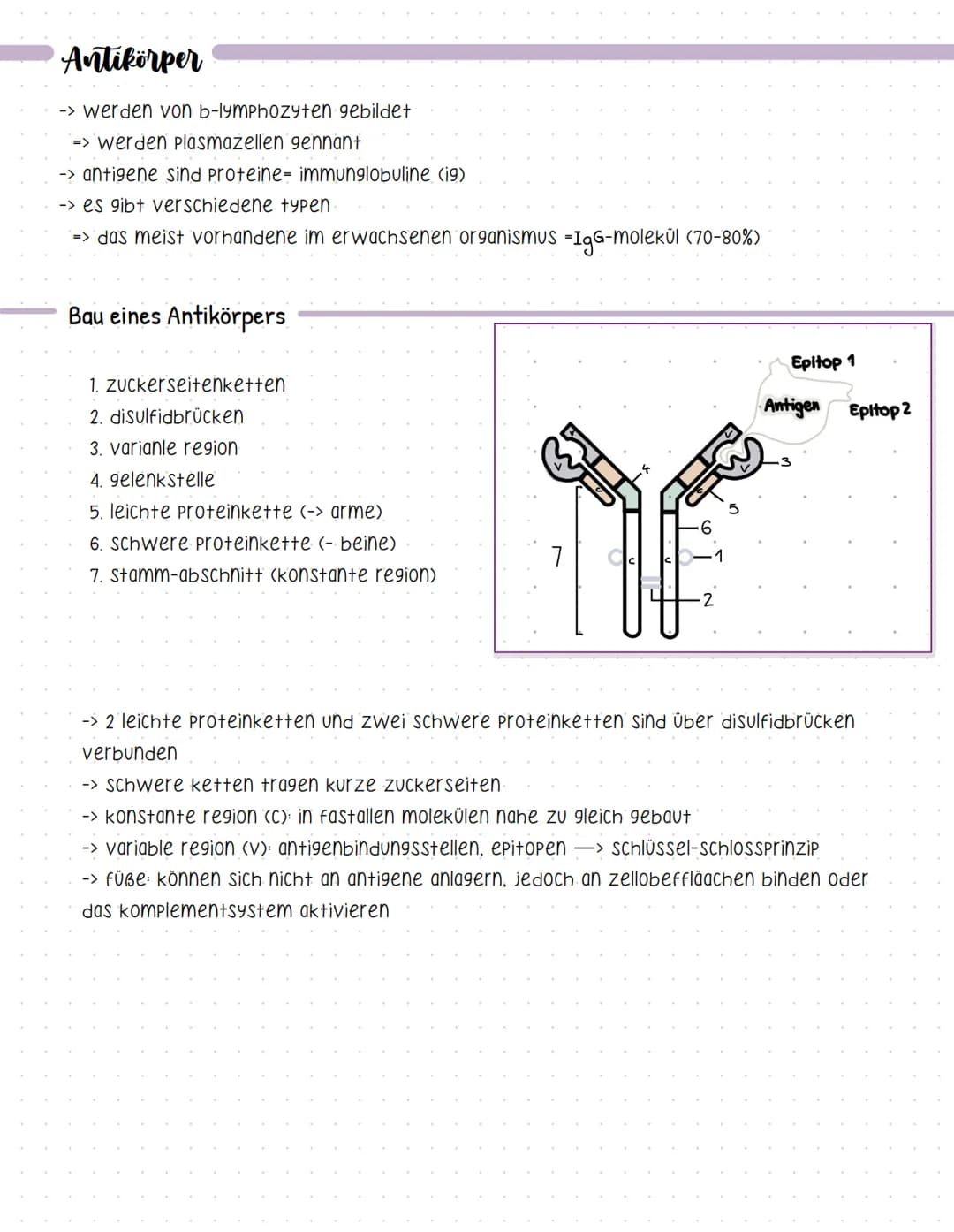 Bent und seine Bestandteile
Aufgaben des Blutes
-> Stofftransport (sauerstoff, CO2, nährstoffe, hormone....).
-> immunabwehr
-> regulation d