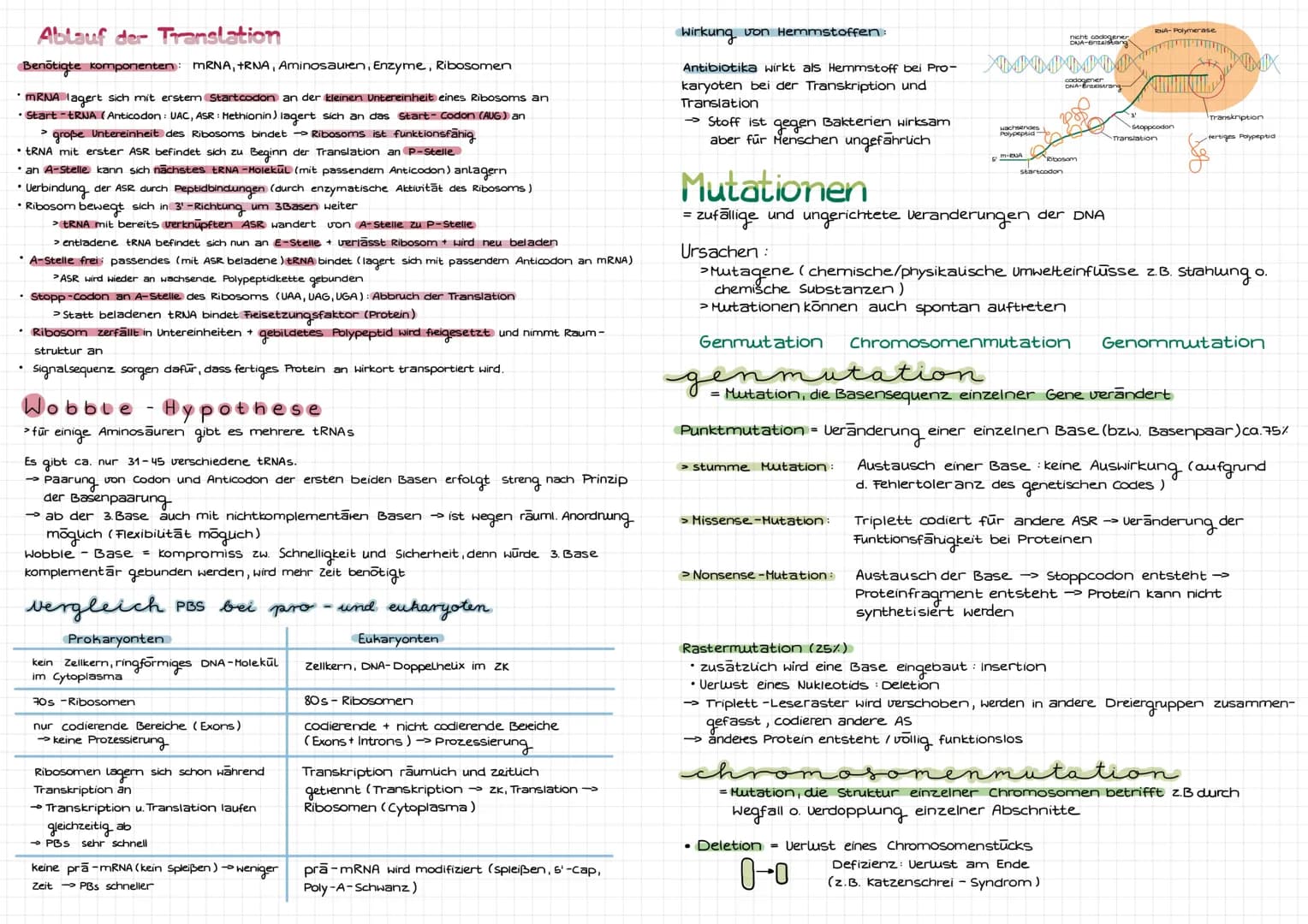 Molekulargenetik
DNA
DNA desoxyribonucleid acid (DNS = Desoxyribonukleinsäure) -> Träger der Erbinformation
Eigenschaften: Kodierung (Inform