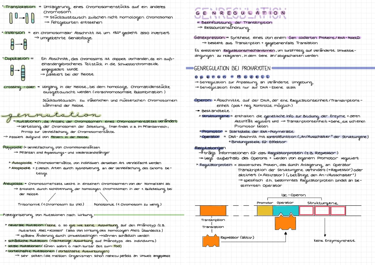 Molekulargenetik
DNA
DNA desoxyribonucleid acid (DNS = Desoxyribonukleinsäure) -> Träger der Erbinformation
Eigenschaften: Kodierung (Inform