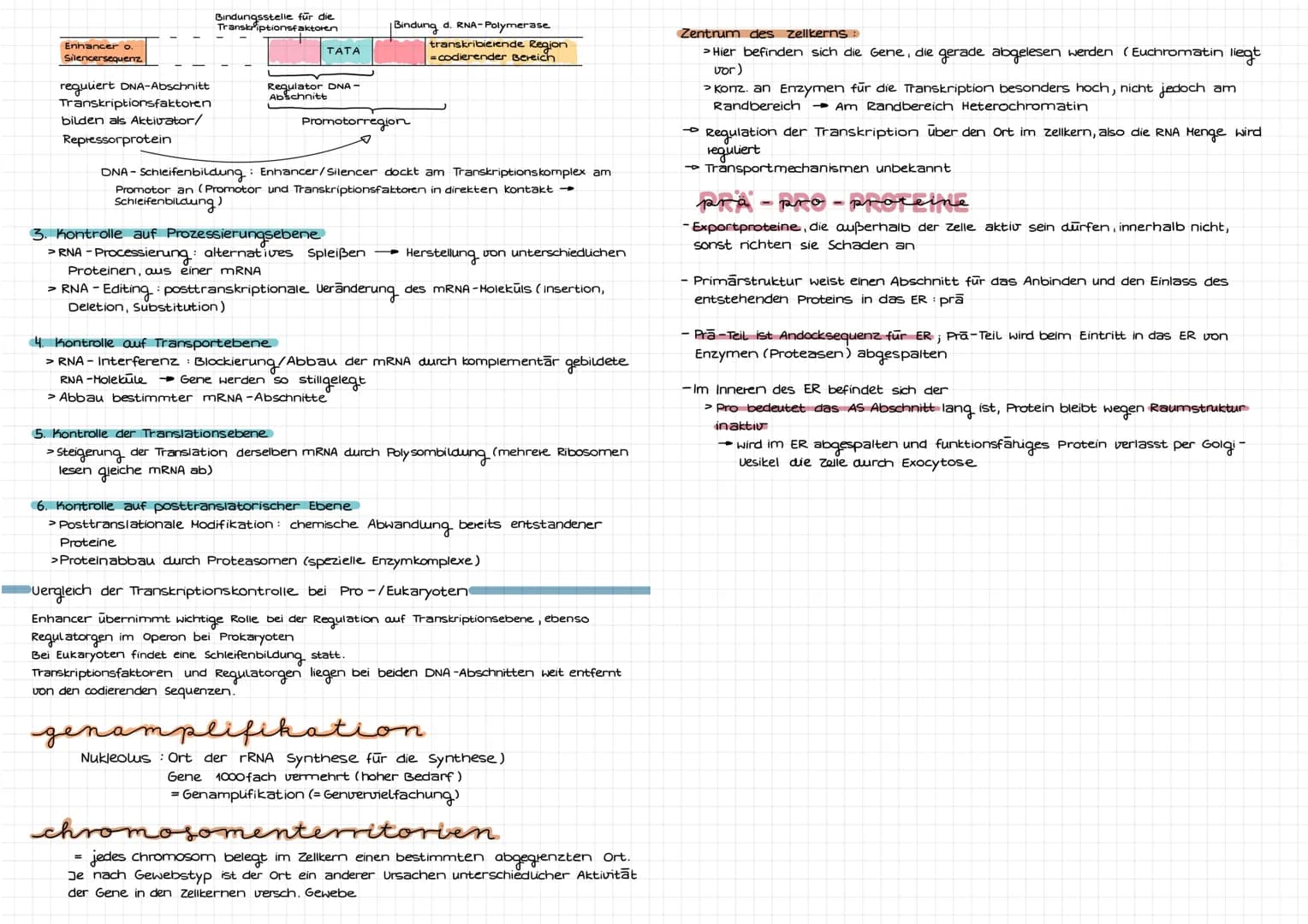 Molekulargenetik
DNA
DNA desoxyribonucleid acid (DNS = Desoxyribonukleinsäure) -> Träger der Erbinformation
Eigenschaften: Kodierung (Inform