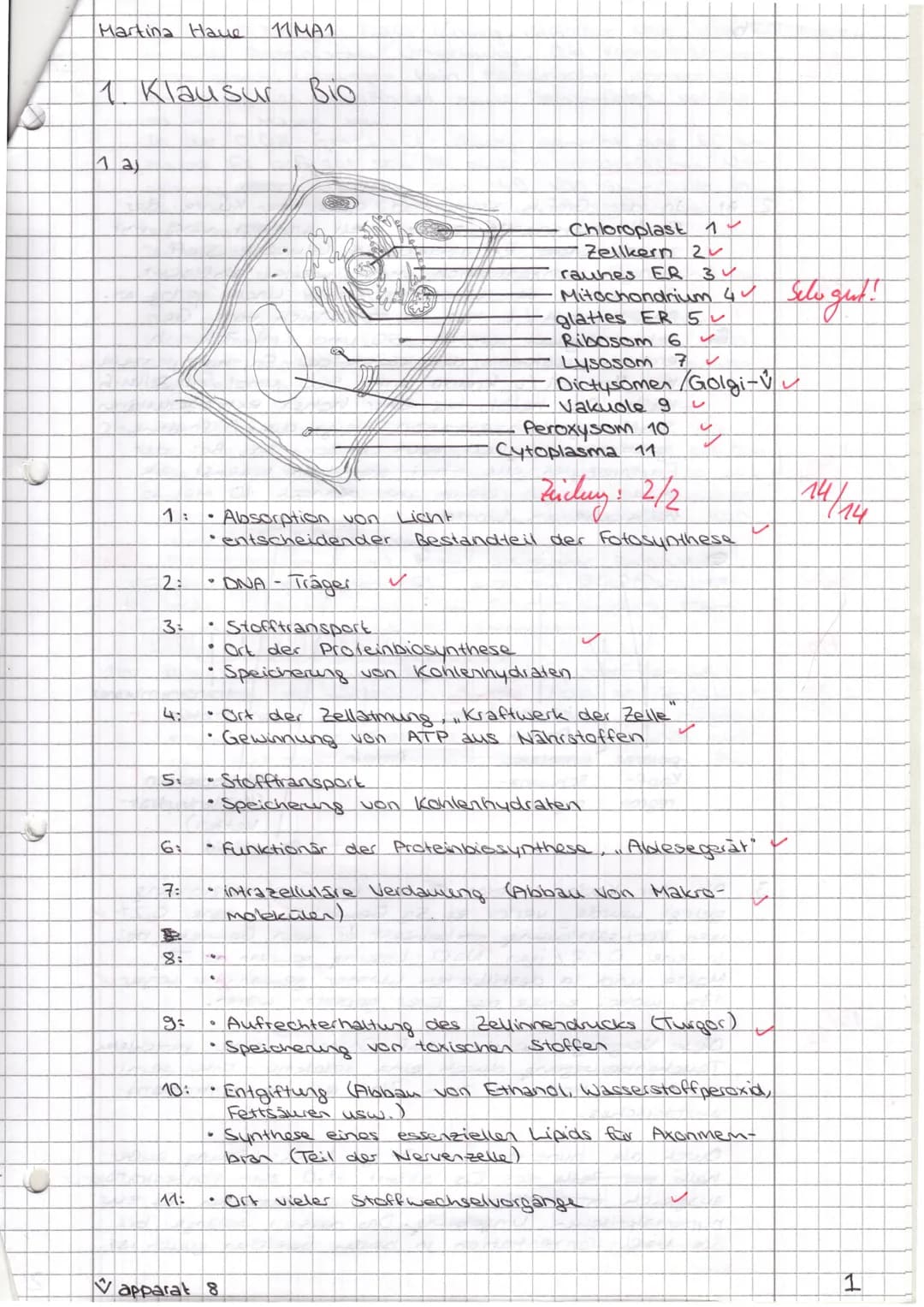 Dr. Mebus
Name:
1) a)
2)
b)
Skizzieren Sie eine pflanzliche Zelle mit mindestens 6 inneren
Zellbestandteilen. Beschriften Sie diese. Nennen 