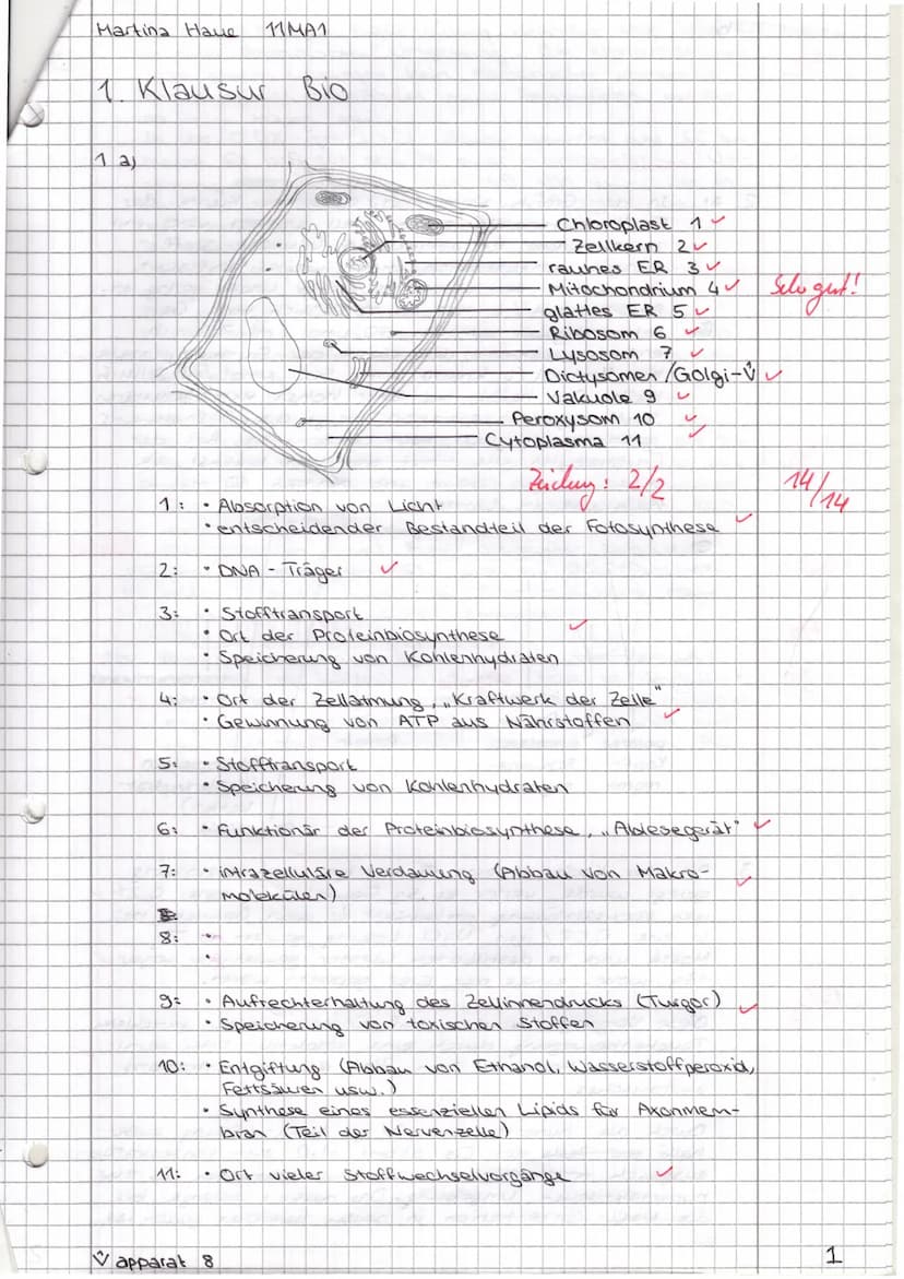 Dr. Mebus
Name:
1) a)
2)
b)
Skizzieren Sie eine pflanzliche Zelle mit mindestens 6 inneren
Zellbestandteilen. Beschriften Sie diese. Nennen 