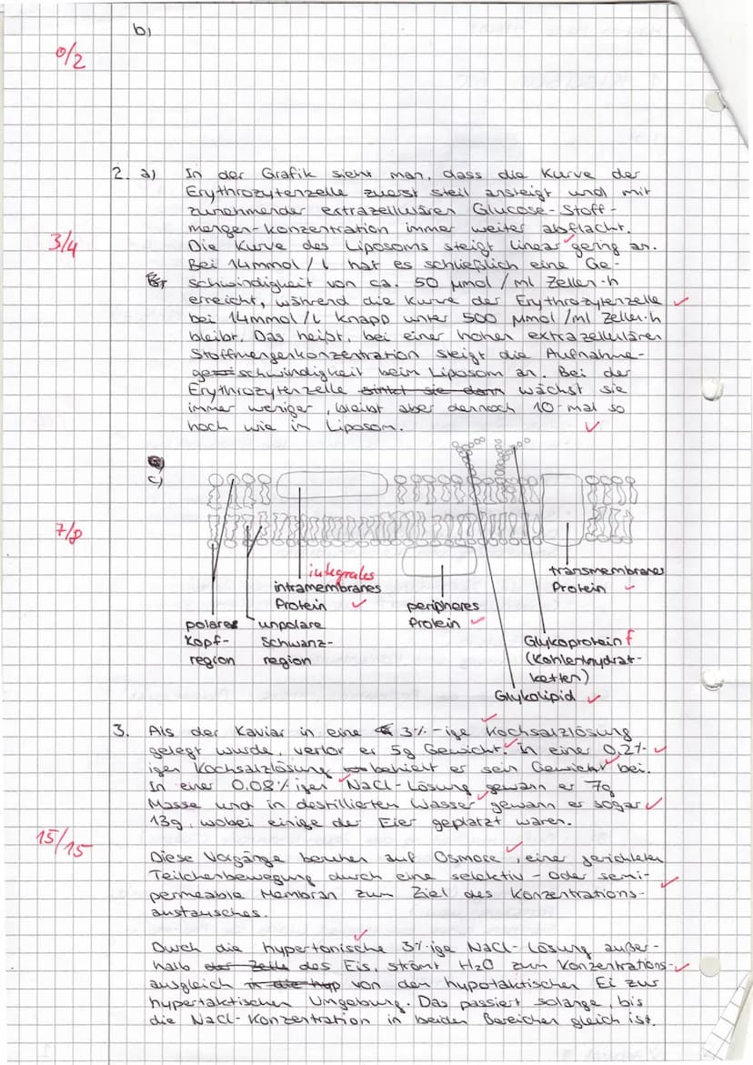 Dr. Mebus
Name:
1) a)
2)
b)
Skizzieren Sie eine pflanzliche Zelle mit mindestens 6 inneren
Zellbestandteilen. Beschriften Sie diese. Nennen 