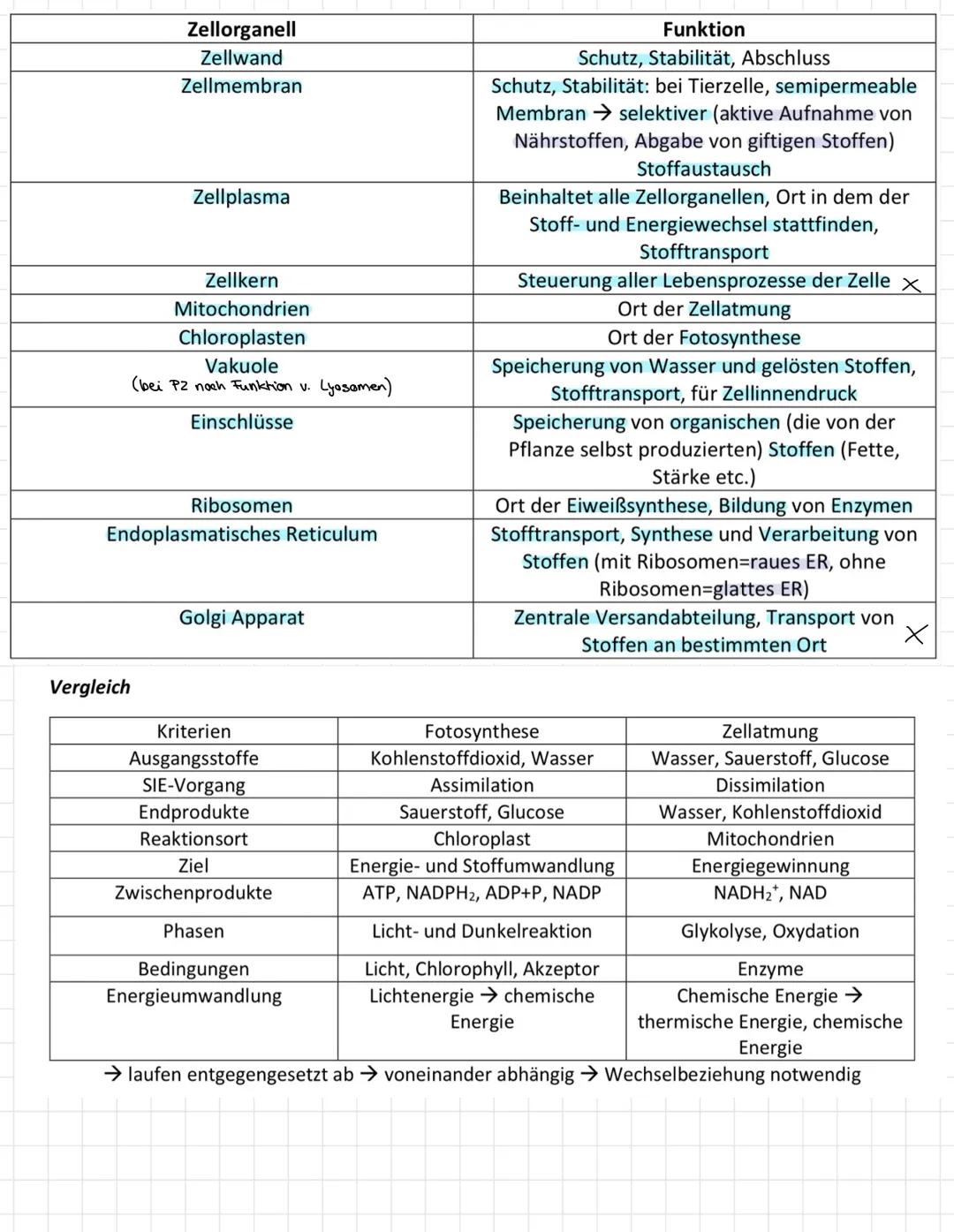 Das elektronenmikroskopische Bild der Tier- und Pflanzenzelle
1 Beschriften Sie die Zellbestandteile.
Schema Tierzelle
Mitochondrium
Perioxi