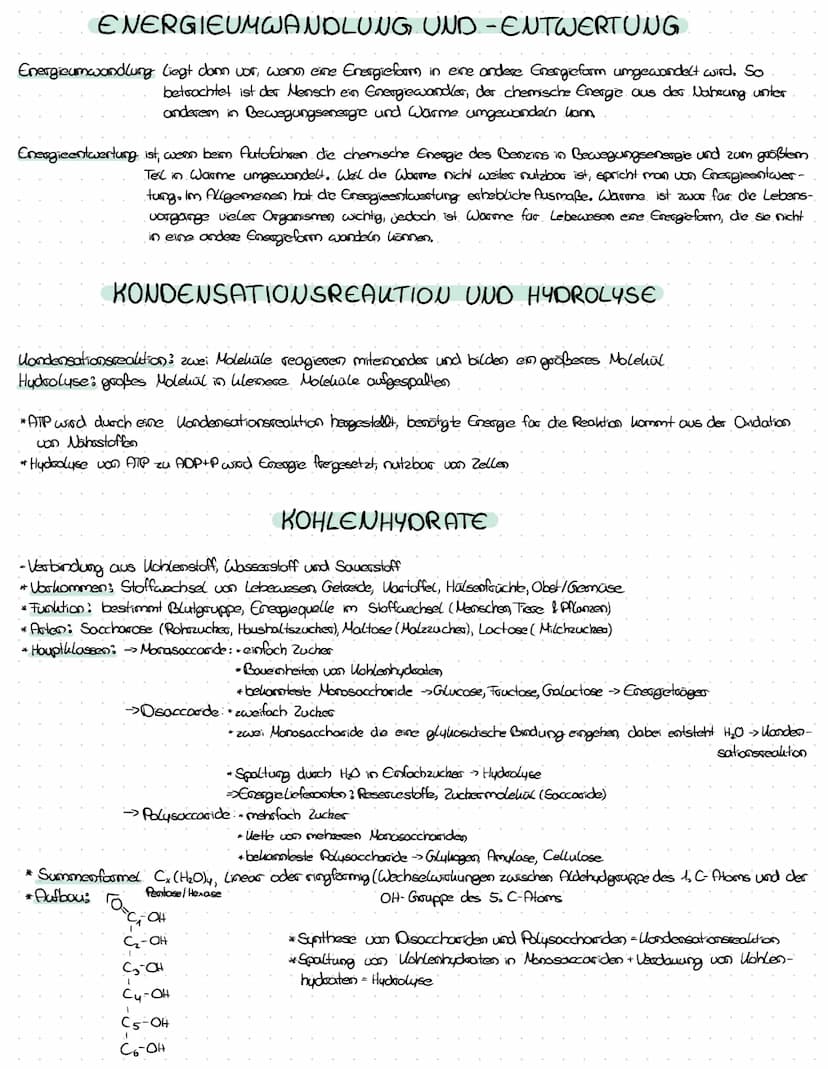 REDOXREAKTION
- Übertragung von Elektronen, Elektronentransfer von einem Stoff auf einen anderen, Oxidation + Reduktion gekoppelt
Oxidation: