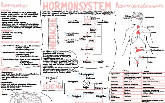 Know Hormonsystem  thumbnail