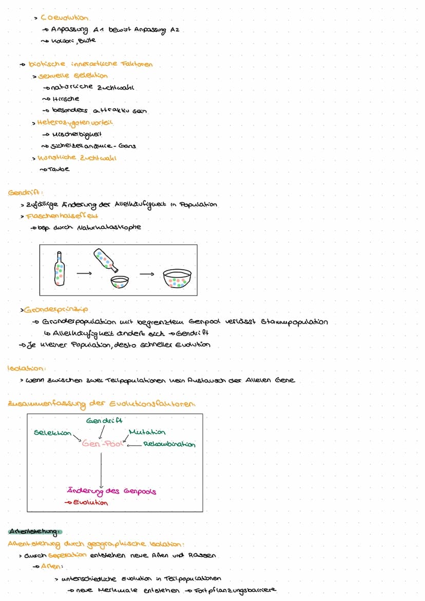 Evolution
Go
ne  Biologische Vielfalt
Allgemein
> Evolution ist irreversibles Geschehen
nicht umkehrbar
> Evolution ist nicht wiederholbas
>