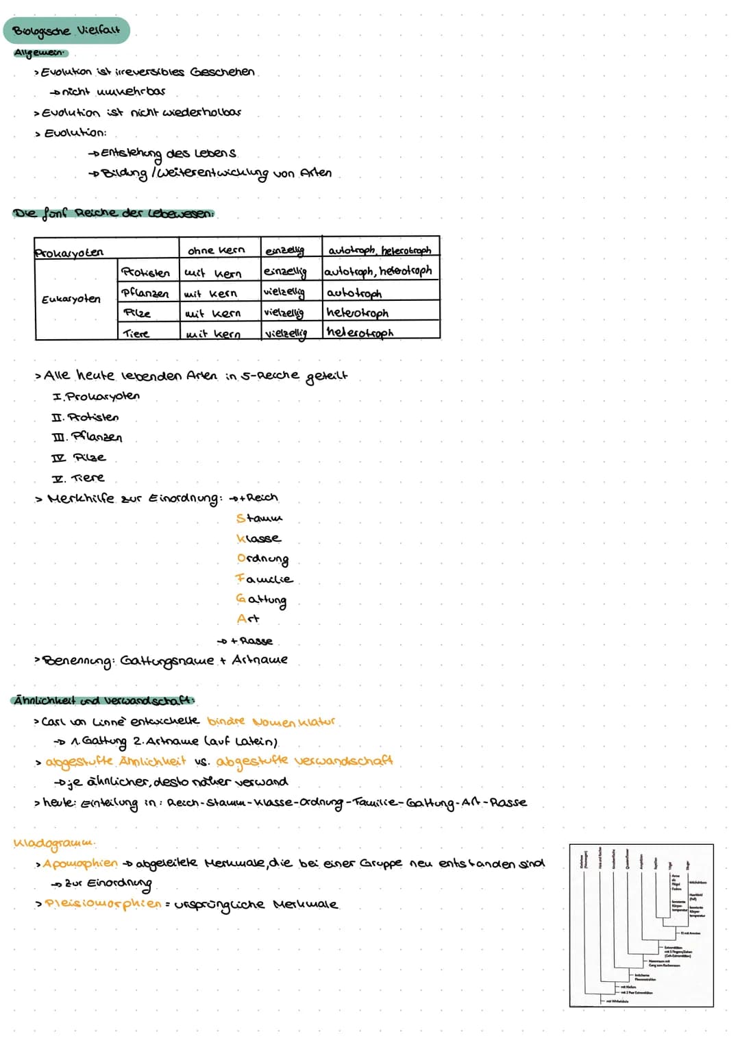 Evolution
Go
ne  Biologische Vielfalt
Allgemein
> Evolution ist irreversibles Geschehen
nicht umkehrbar
> Evolution ist nicht wiederholbas
>