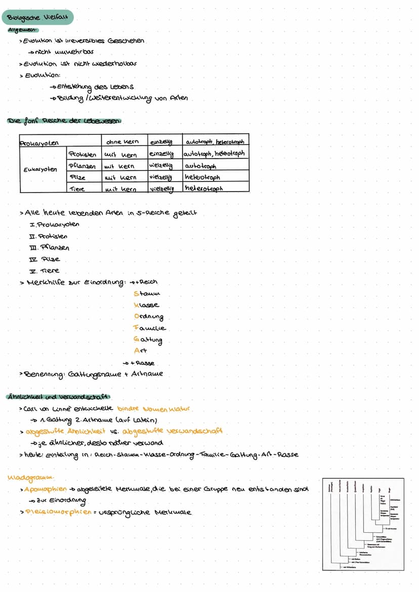 Evolution
Go
ne  Biologische Vielfalt
Allgemein
> Evolution ist irreversibles Geschehen
nicht umkehrbar
> Evolution ist nicht wiederholbas
>