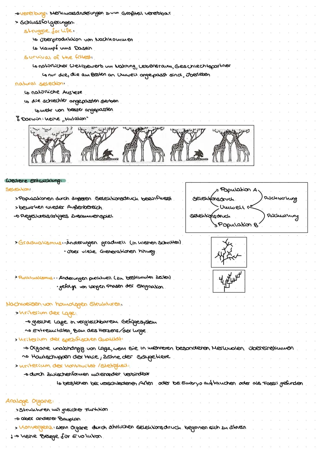 Evolution
Go
ne  Biologische Vielfalt
Allgemein
> Evolution ist irreversibles Geschehen
nicht umkehrbar
> Evolution ist nicht wiederholbas
>