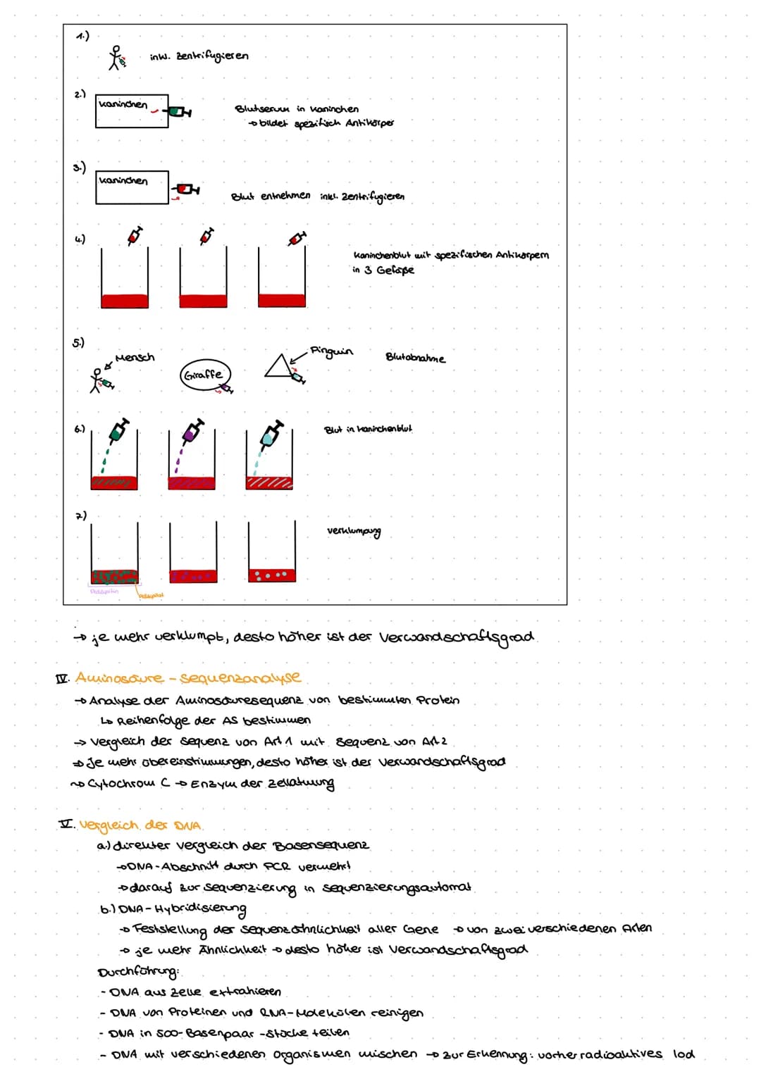 Evolution
Go
ne  Biologische Vielfalt
Allgemein
> Evolution ist irreversibles Geschehen
nicht umkehrbar
> Evolution ist nicht wiederholbas
>