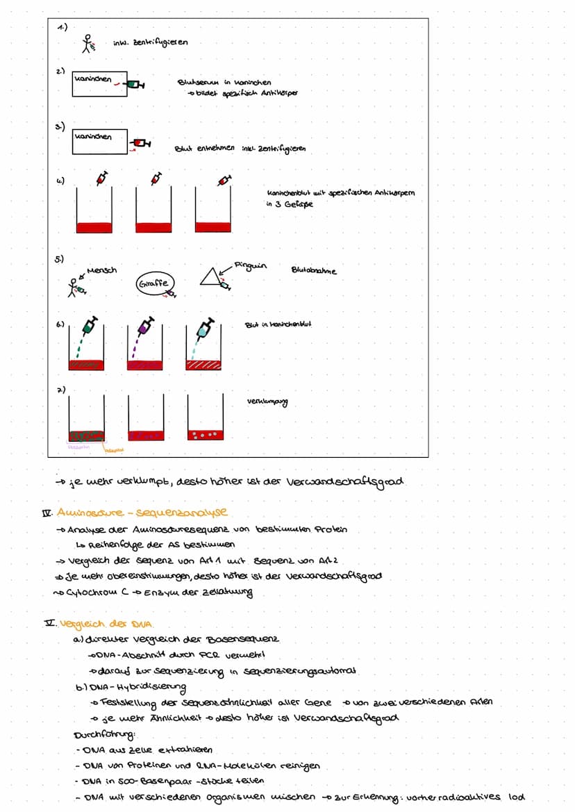 Evolution
Go
ne  Biologische Vielfalt
Allgemein
> Evolution ist irreversibles Geschehen
nicht umkehrbar
> Evolution ist nicht wiederholbas
>