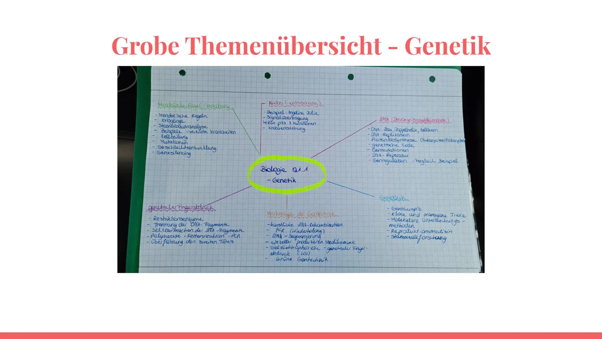 Wiederholung:
Genetik
Eine Präsentation von Maya,
Deniz, Katharina und Noah Grobe Themenübersicht - Genetik
Mendelsche Regel / Vererbung
-Me