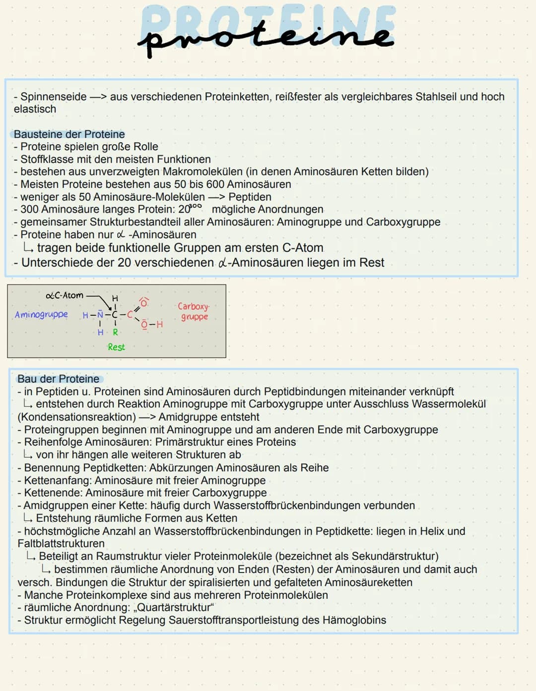 Proteine
- Molekülketten aus Aminosäuren
L> je nach Anzahl der Aminosäuren spricht man von...
Peptid (eine Aminosäure)
Oligopeptid (bis 10)
