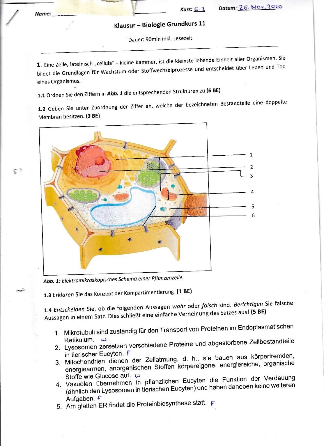 Biomembran: Aufbau, Aufgaben und Flüssig-Mosaik Modell - Einfach erklärt für Klasse 11