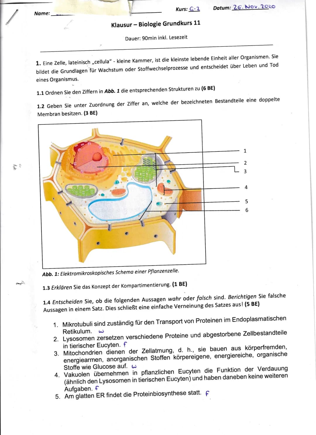 Name:
Kurs: G-2
Klausur - Biologie Grundkurs 11
Dauer: 90min inkl. Lesezeit
Datum: 26. Nov, 2020
1. Eine Zelle, lateinisch ,,cellula" - klei