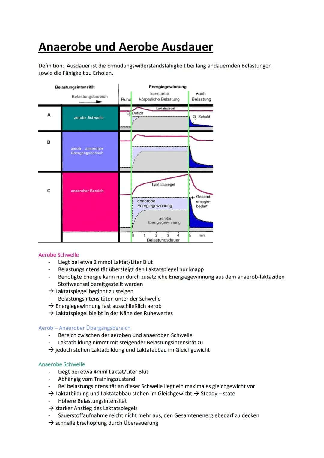Allgemeine Gesetzmäßigkeiten zur
biologischen Anpassung
Anpassung/Adaption:
Adaptation des Organismus oder von Teilen des Körpers auf innere