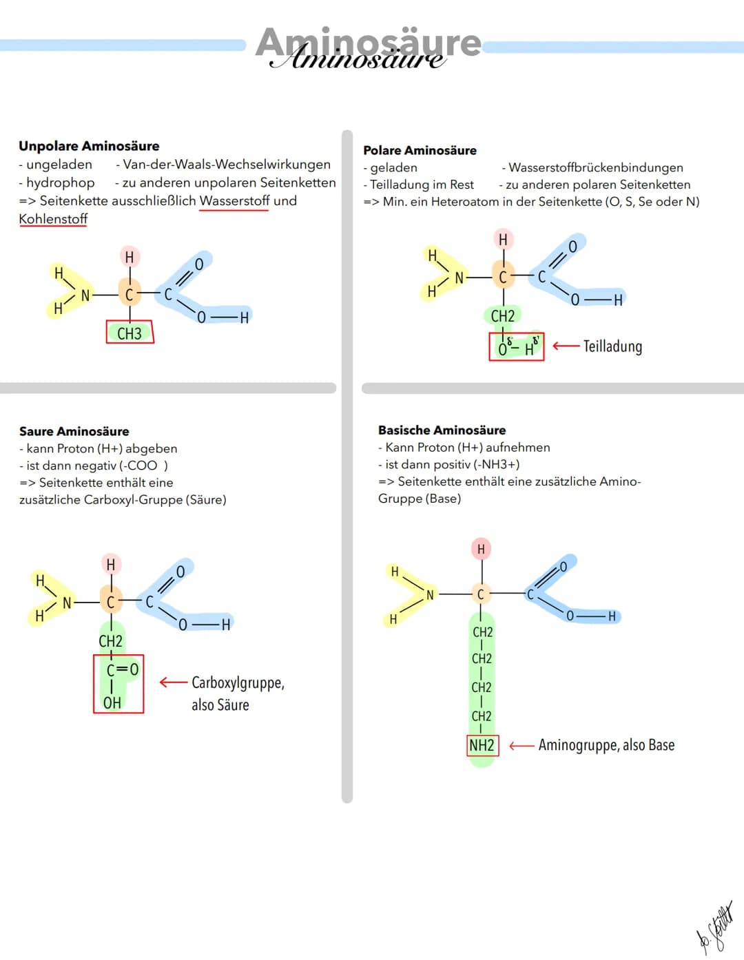 Grundstruktur:
H
ste
C
R
H
Chirales C-Atom
Aminogruppe
Kettenende Aminogruppe:
N-Terminus
Wasserstoffatom
Rest
Aminosäure
H
H
Carboxylgruppe