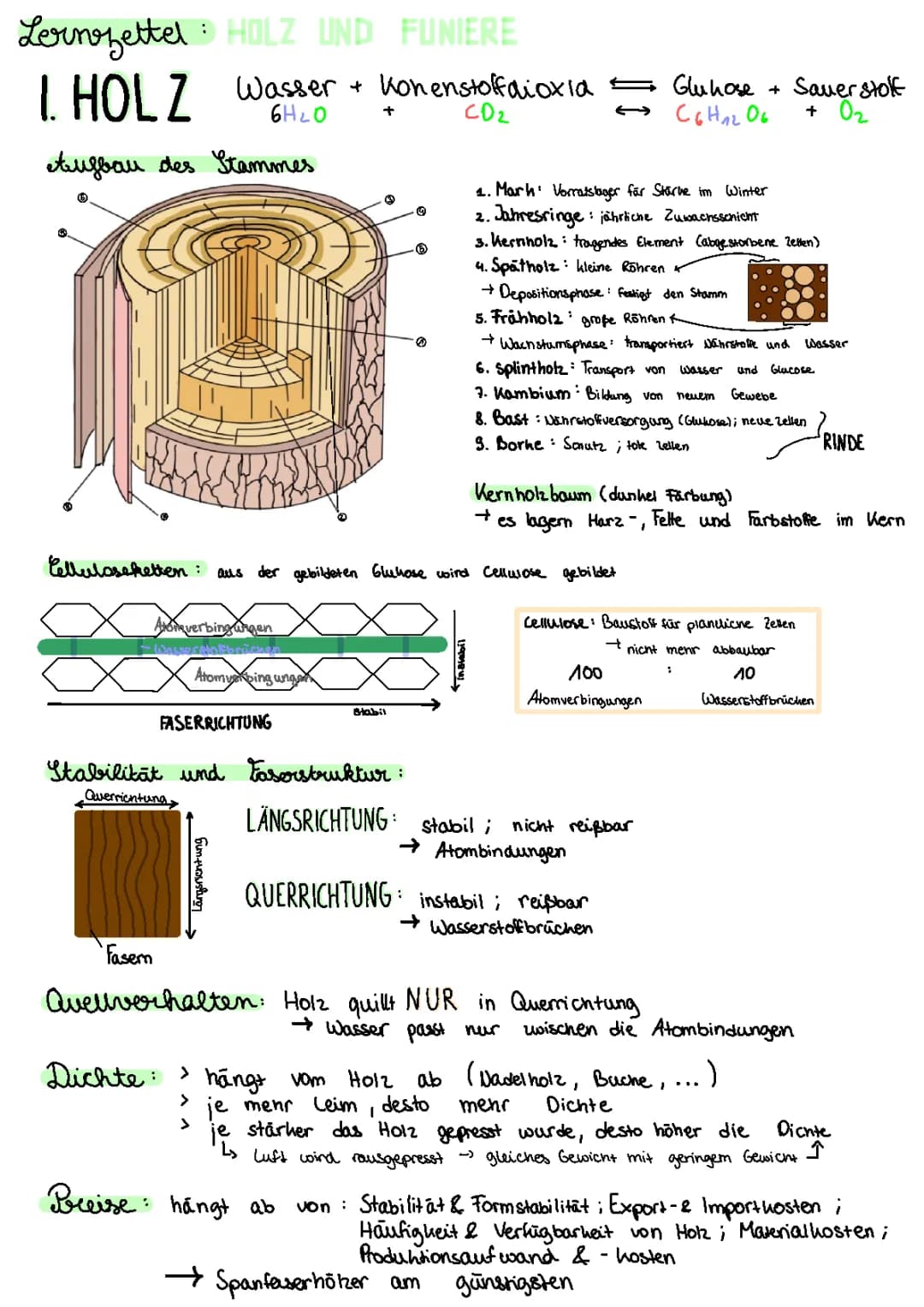 Holz und Funiere Lernzettel