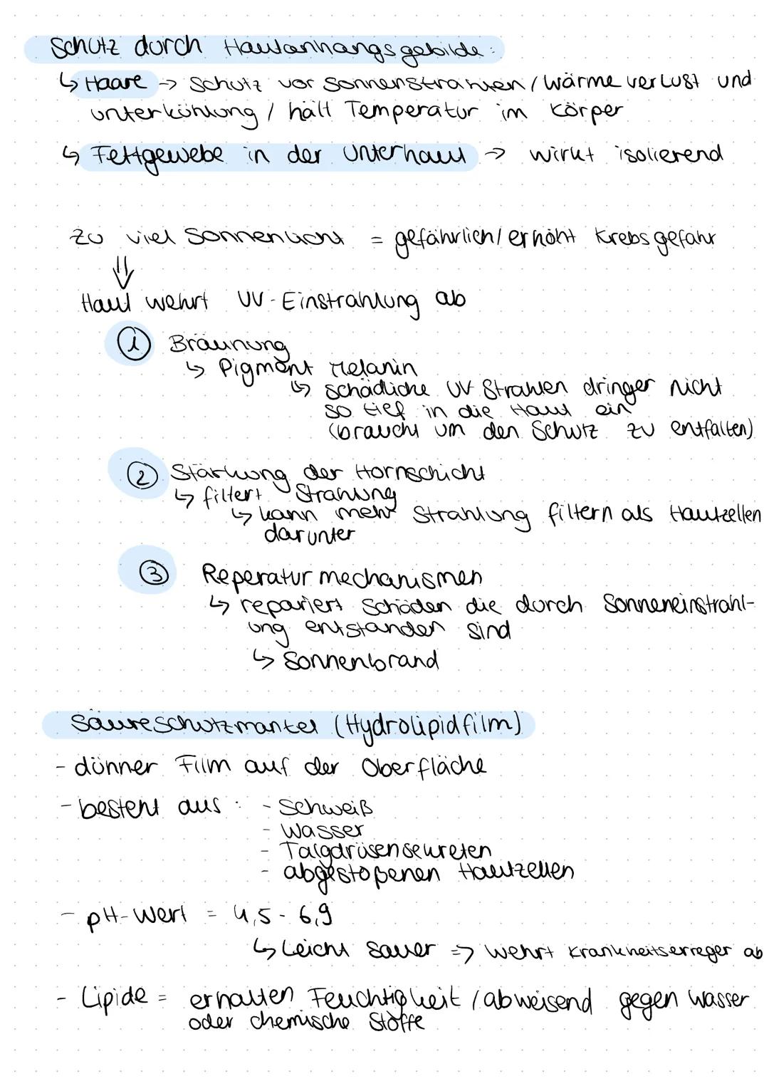Anatomie & Physiologie der Haut
Hautschichten
4 Epidermis - Oberhaut
} Dermis
↳ Dermis Lederhaut
↳ Subcutis .- Unter haut fettgewebe
→ 3-5 m