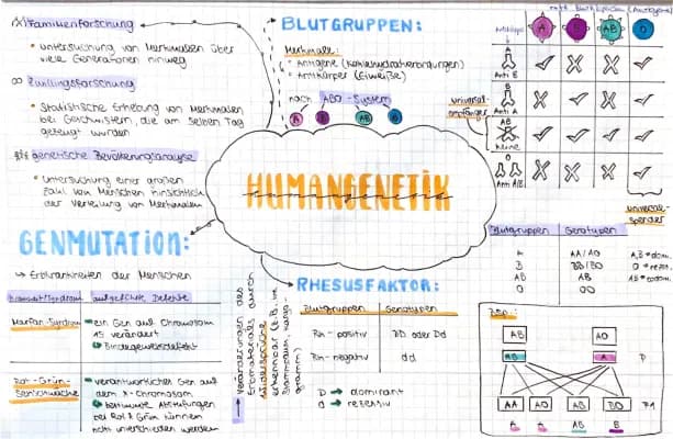Know Humangenetik Lernzettel thumbnail
