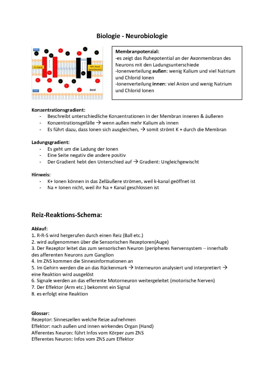 Neurobiologie 