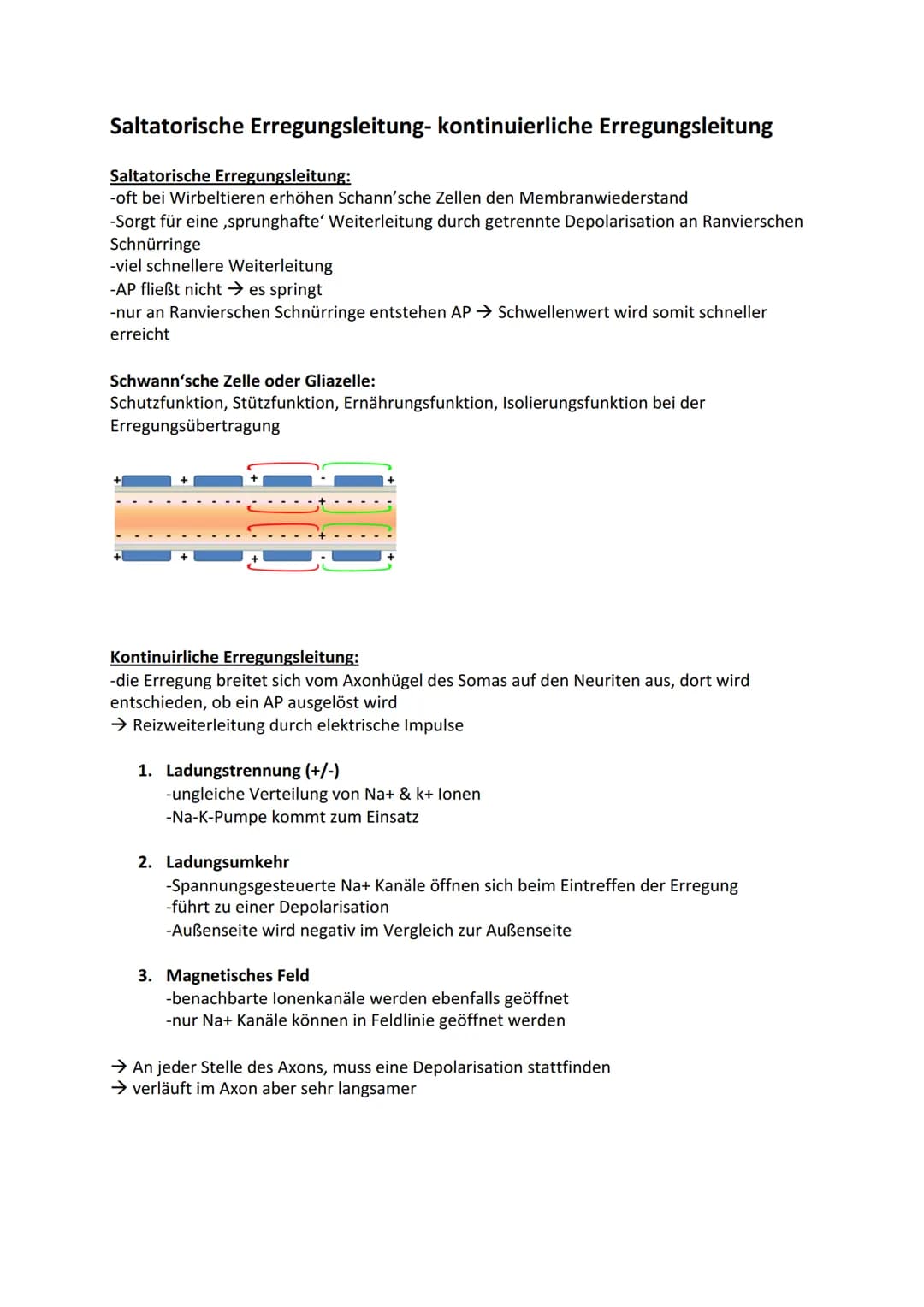 DE
Ladungsgradient:
Biologie - Neurobiologie
NA+ Kanal
Hinweis:
(geschlossen
Omv
Konzentrationsgradient:
Beschreibt unterschiedliche Konzent