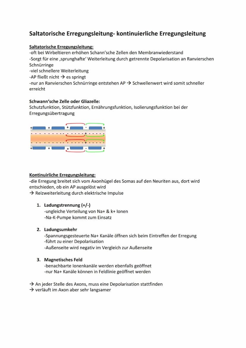 DE
Ladungsgradient:
Biologie - Neurobiologie
NA+ Kanal
Hinweis:
(geschlossen
Omv
Konzentrationsgradient:
Beschreibt unterschiedliche Konzent