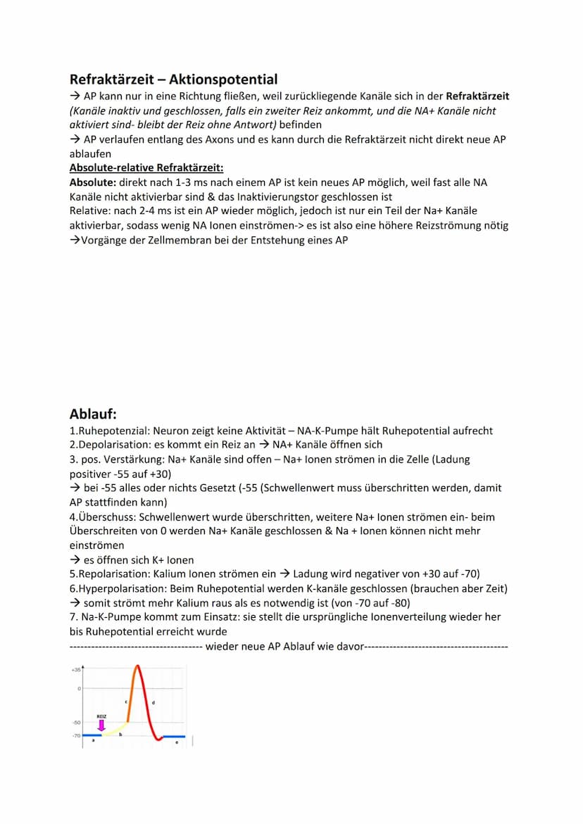 DE
Ladungsgradient:
Biologie - Neurobiologie
NA+ Kanal
Hinweis:
(geschlossen
Omv
Konzentrationsgradient:
Beschreibt unterschiedliche Konzent