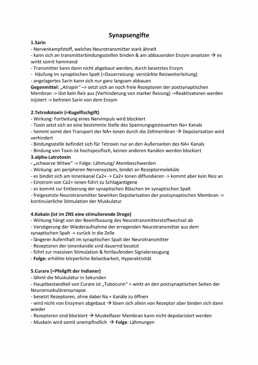 DE
Ladungsgradient:
Biologie - Neurobiologie
NA+ Kanal
Hinweis:
(geschlossen
Omv
Konzentrationsgradient:
Beschreibt unterschiedliche Konzent