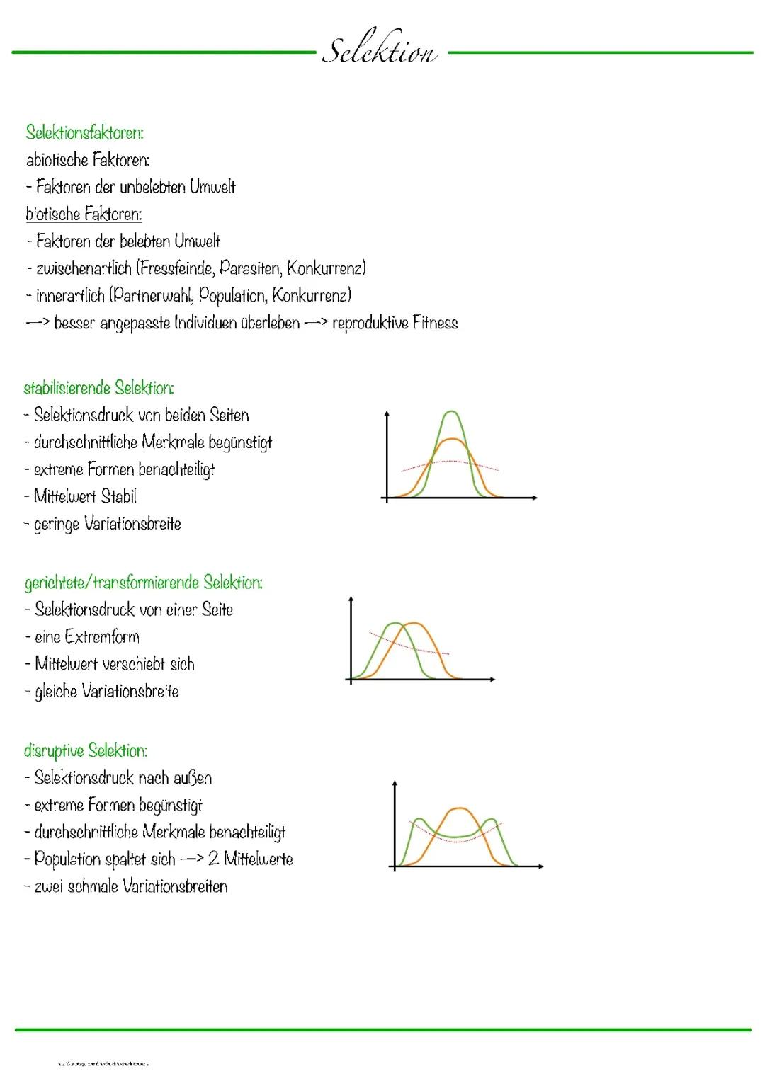 Alles über Selektion und Gendrift in der Biologie