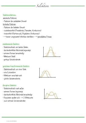 Know Evolution - Abitur - Bio LK thumbnail