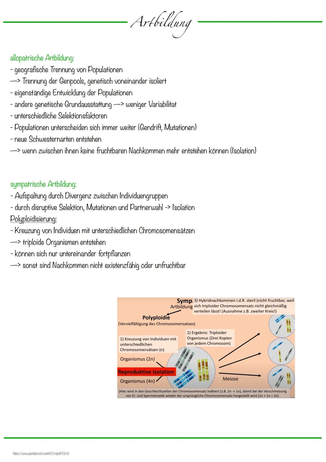 Selektionsfaktoren:
abiotische Faktoren:
- Faktoren der unbelebten Umwelt
biotische Faktoren:
- Faktoren der belebten Umwelt
- zwischenartli
