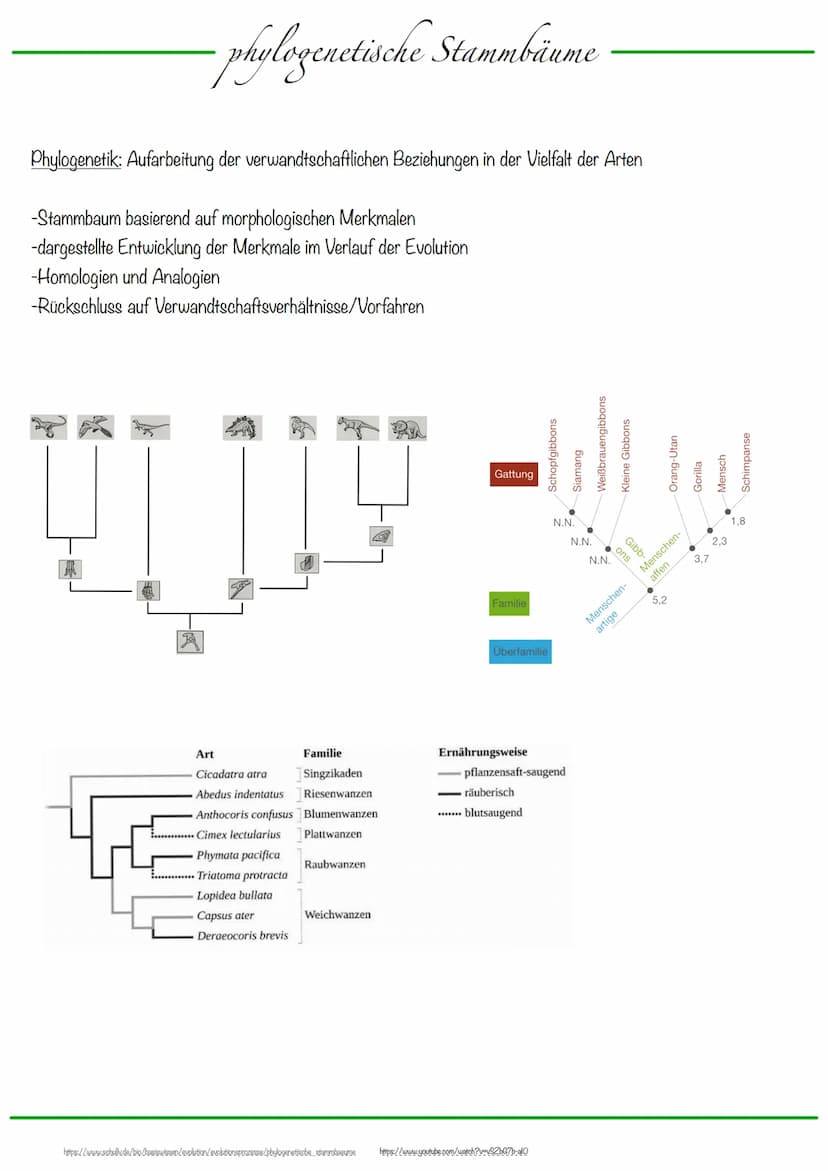 Selektionsfaktoren:
abiotische Faktoren:
- Faktoren der unbelebten Umwelt
biotische Faktoren:
- Faktoren der belebten Umwelt
- zwischenartli