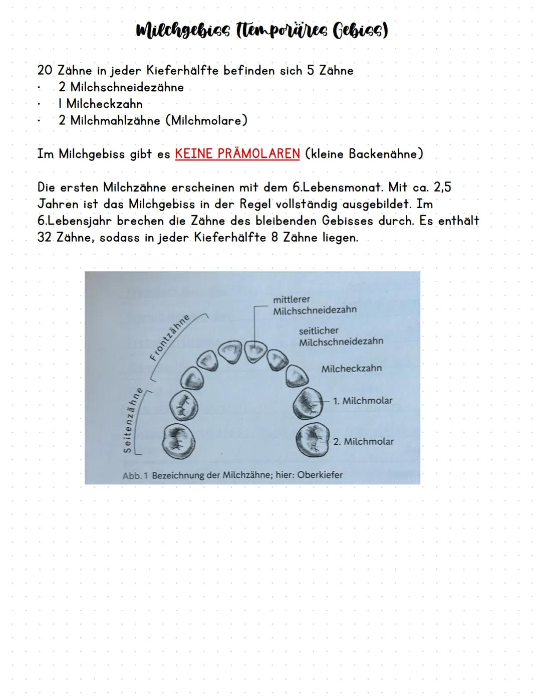  Empfang:
Patienten empfangen und begleiten
Augenkontakt halten.
Lächeln!
Für den ersten Eindruck gibt es keine 2 Chance !
Anamnese:
Anamnes