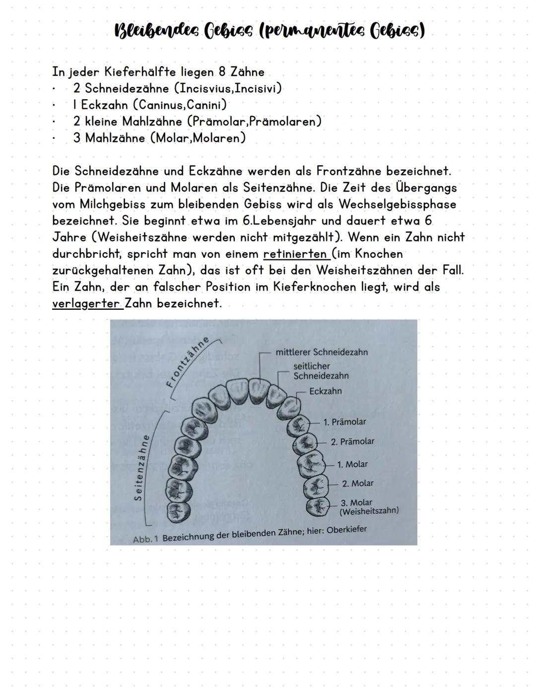  Empfang:
Patienten empfangen und begleiten
Augenkontakt halten.
Lächeln!
Für den ersten Eindruck gibt es keine 2 Chance !
Anamnese:
Anamnes
