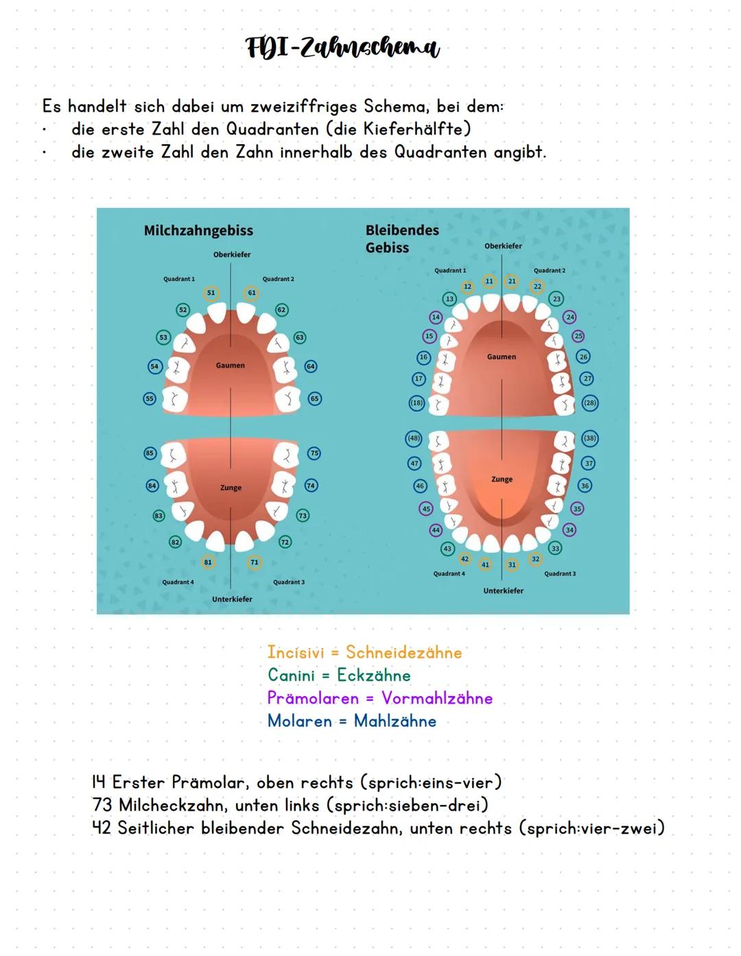  Empfang:
Patienten empfangen und begleiten
Augenkontakt halten.
Lächeln!
Für den ersten Eindruck gibt es keine 2 Chance !
Anamnese:
Anamnes