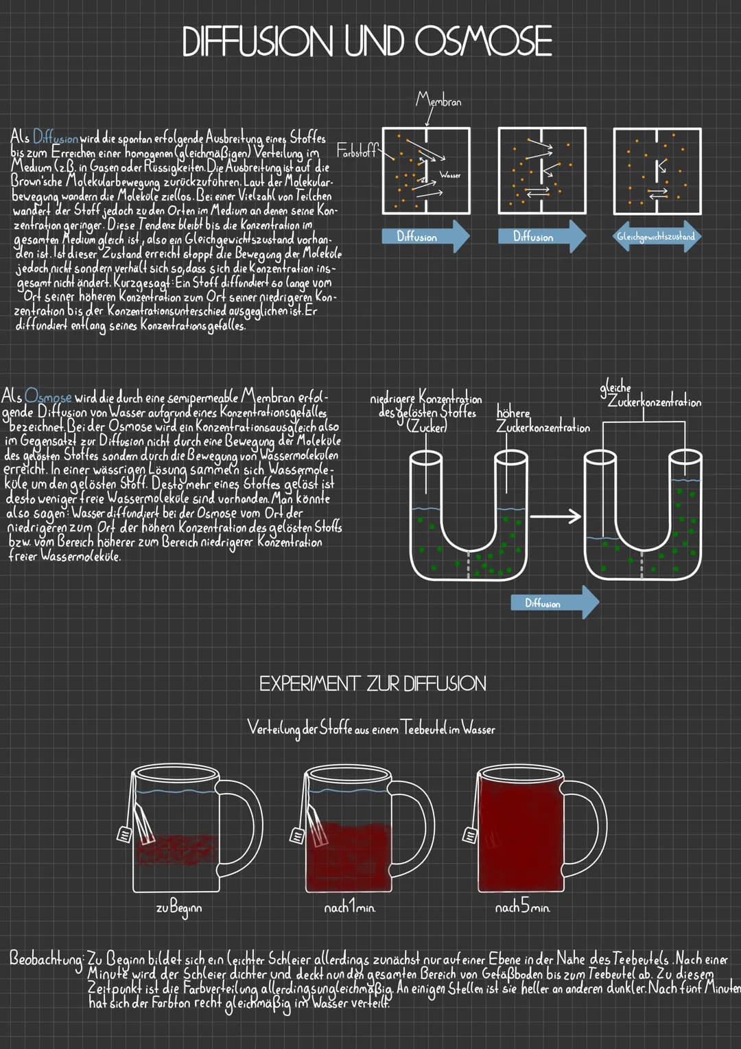 DIFFUSION UND OSMOSE
Als Diffusion wird die spontan erfolgende Ausbreitung eines Stoffes
bis zum Erreichen einer homogenen (gleichmäßigen) V