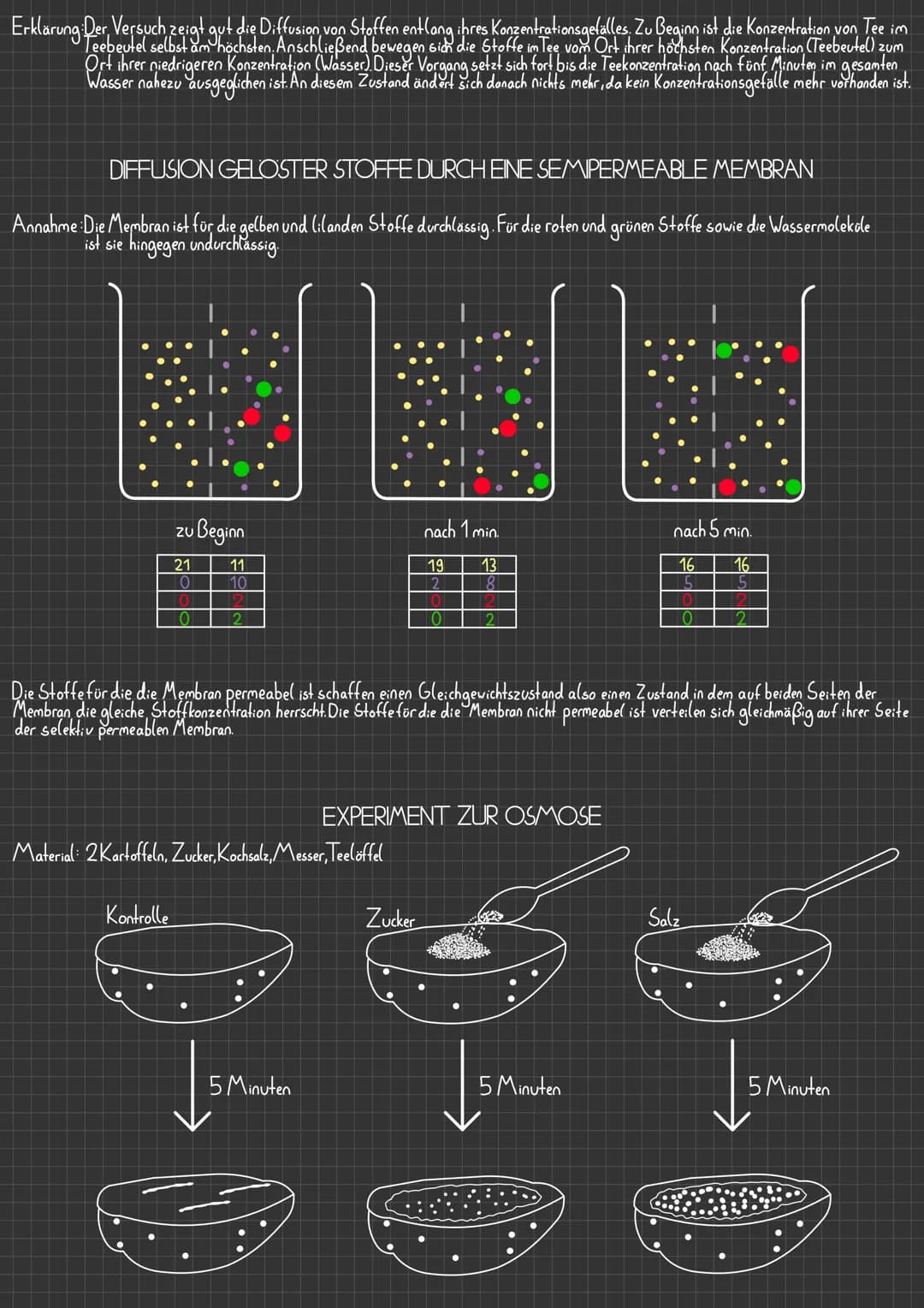 DIFFUSION UND OSMOSE
Als Diffusion wird die spontan erfolgende Ausbreitung eines Stoffes
bis zum Erreichen einer homogenen (gleichmäßigen) V