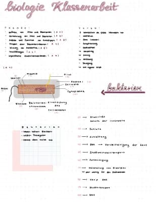 Know Immunbiologie thumbnail