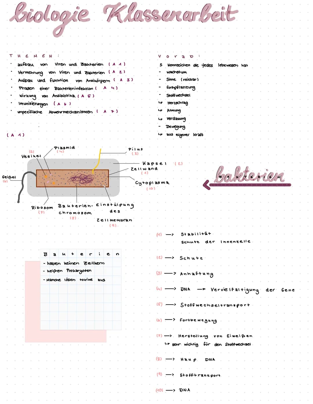 biologie Klassenarbeit
T
H EMEN
Geißel
(6)
aufbau von Viren und Bakterien (AA)
Vermehrung von Viren und Bakterien (A2)
Aufbau und funktion v