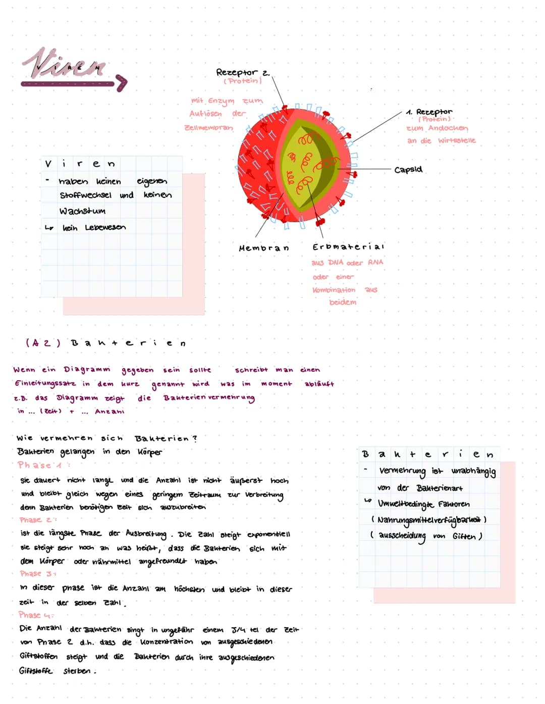 biologie Klassenarbeit
T
H EMEN
Geißel
(6)
aufbau von Viren und Bakterien (AA)
Vermehrung von Viren und Bakterien (A2)
Aufbau und funktion v